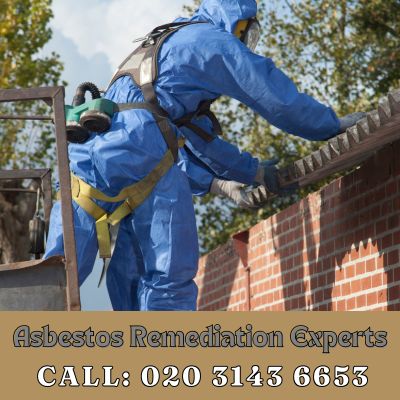 Asbestos Remediation Experts Downe