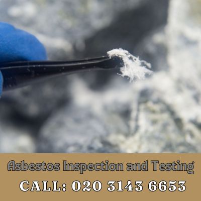 Comprehensive Asbestos Inspection and Testing Services in Downe